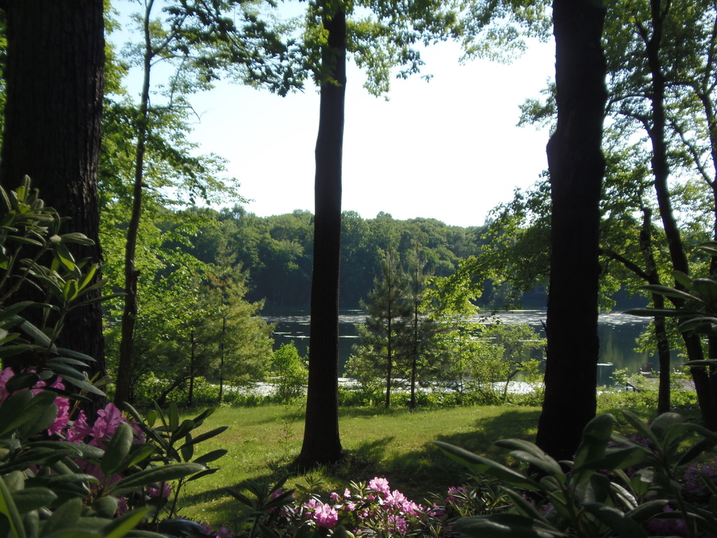 Lake Anne overlook from Crystal Corner